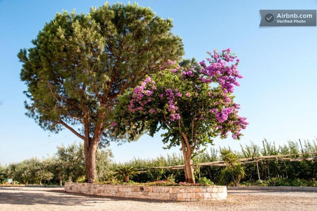 Country house Biologico Sant'andrea