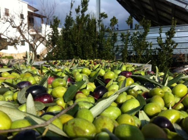 Country house Biologico Sant'andrea Castellaneta Marina