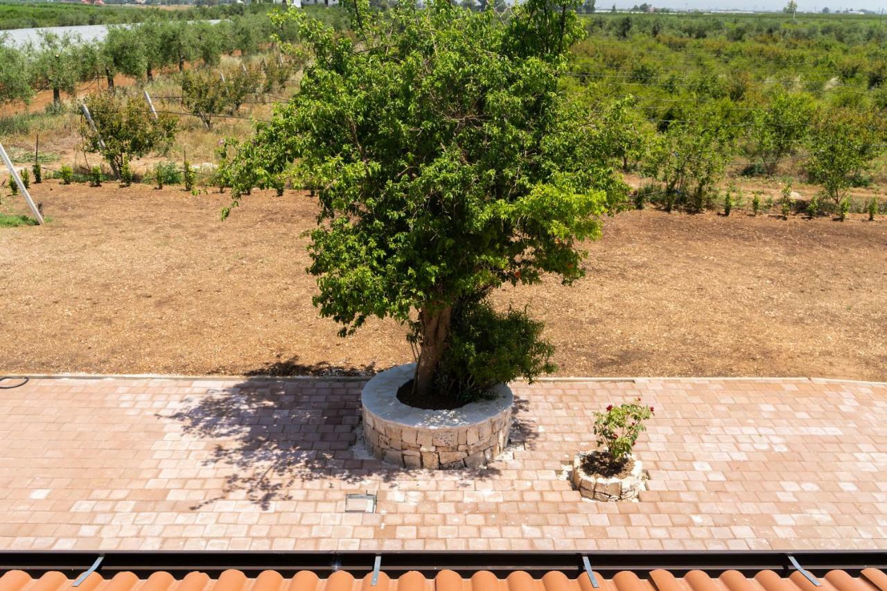 Country house Biologico Sant'andrea *