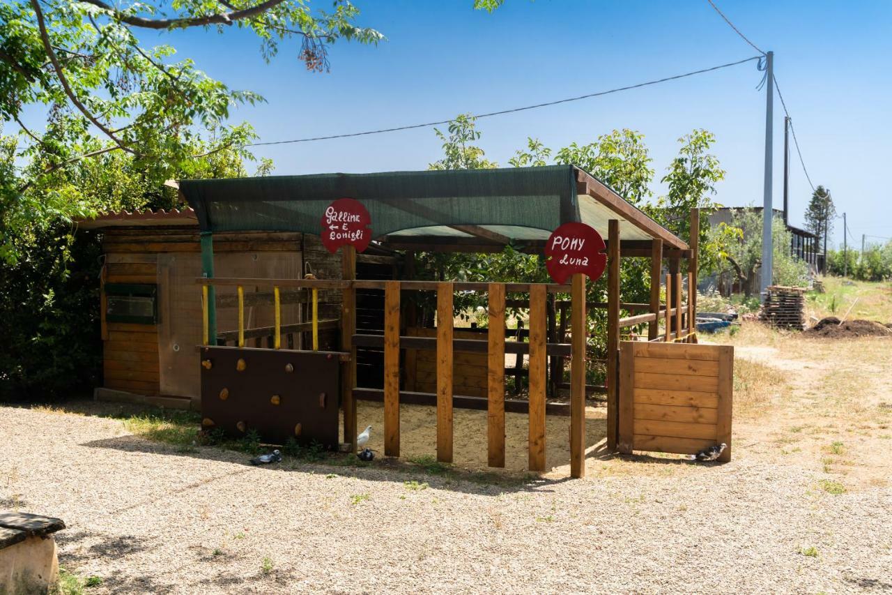 Country house Biologico Sant'andrea Castellaneta Marina
